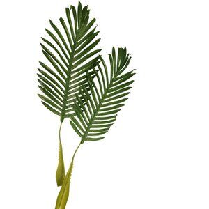 Artificial Palm Leaves Set of 2 Realistic Tropical Green Fronds 22 Inch Flexible